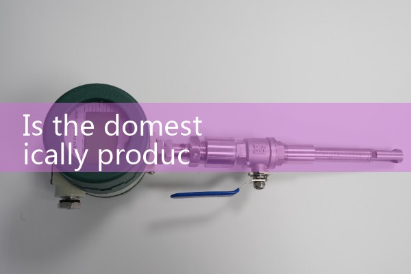Domestic gas mass flowmeter