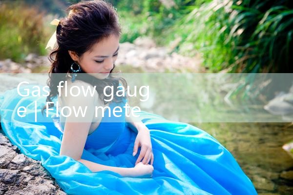 gas flow gauge|thermal flow meter