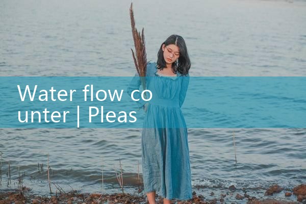 water flow counter|rotameter flow meter