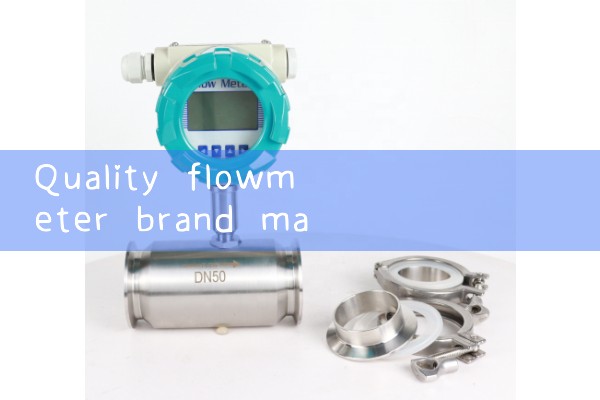 Quality flowmeter brand manufacturer