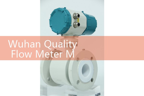 Directly supplied by Wuhan quality flowmeter manufacturer