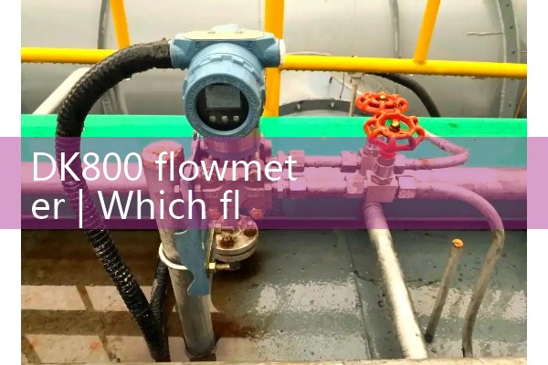 DK800 flowmeter
