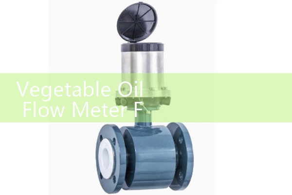 Vegetable Oil Flow Meter Food-Grade Sanitary Standards