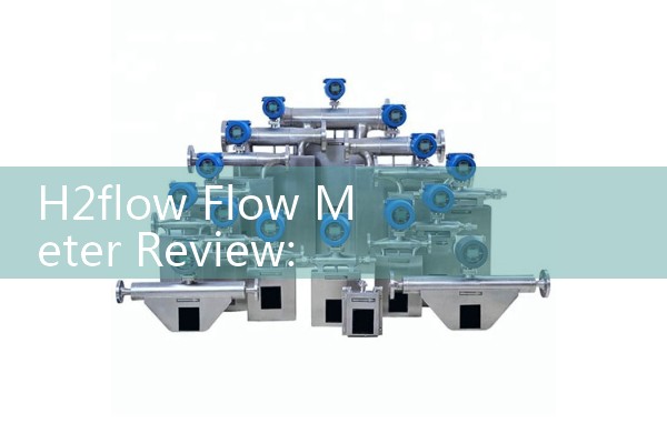 H2flow Flow Meter Review: Evaluating Digital GPM Precision for Commercial Swimming Pool Filters