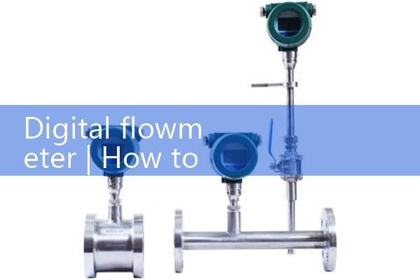 digital flow meter