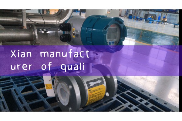 Xian manufacturer of quality flowmeter