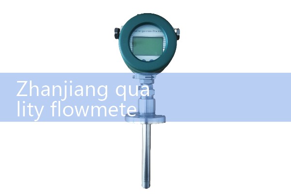 Zhanjiang Quality Flow Meter Manufacturer