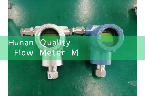 Supply by Hunan Quality Flow Meter Manufacturer
