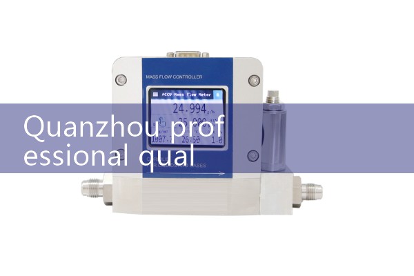 Quanzhou professional quality flowmeter manufacturer