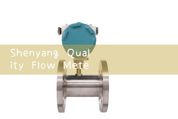 Shenyang Quality Flow Meter Manufacturer