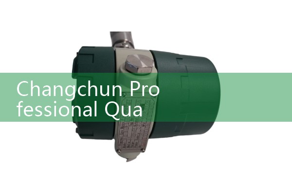 Changchun professional quality flowmeter manufacturer