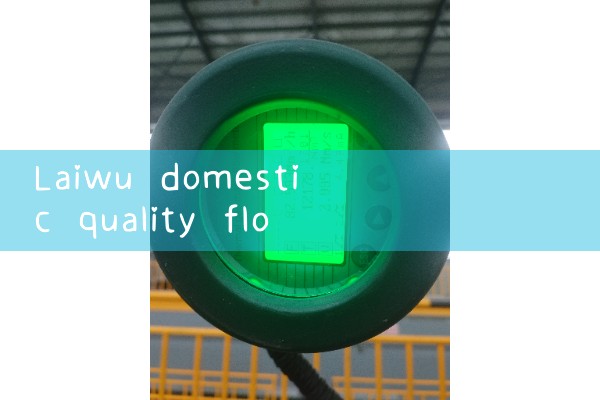 Laiwu domestic quality flowmeter manufacturer