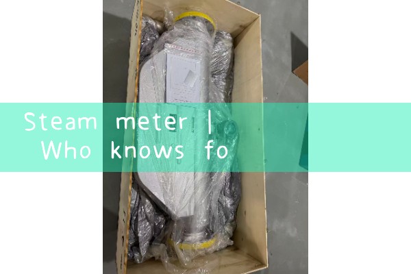 steam meter|orifice meter