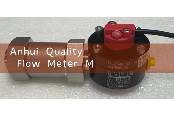 Anhui Quality Flow Meter Manufacturer